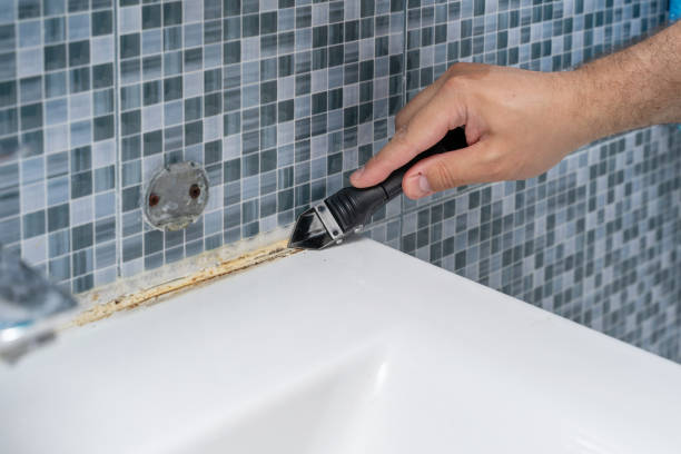 Best Fast Mold Removal  in Maurice, LA